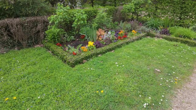 A brightly colored garden bed with colorful flowers and green surroundings.