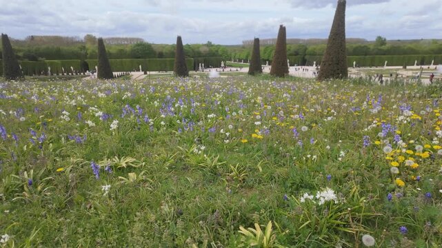 The beautiful Gardens of Versailles with colorful flowers and shaped trees in a landscape photo.