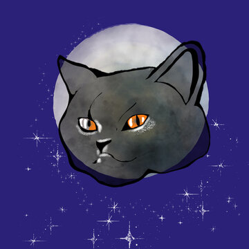 cat in the night  輝く満月と夜空の星を背景にしたダンディでミステリアスな灰猫のイラスト