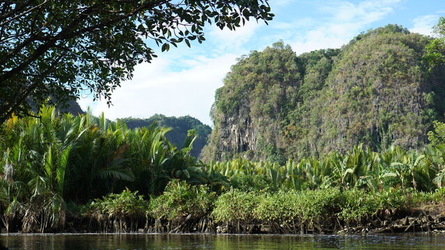 Beautiful River Estuary Natural Landscape