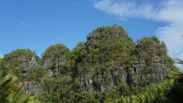 Beautiful River Estuary Natural Landscape