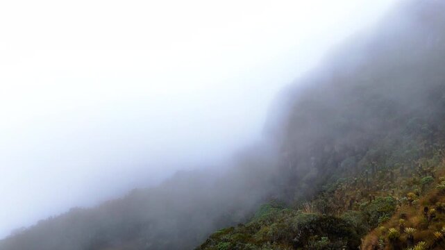 Static low drone view over misty frailejones field on Andean volcano slope near Murillo, Colombia. Volcano mountain slope in fog, highland terrain, cinematic landscape.
