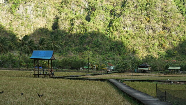 Beautiful Natural Scenery of Rammang-Rammang near Makassar Indonesia