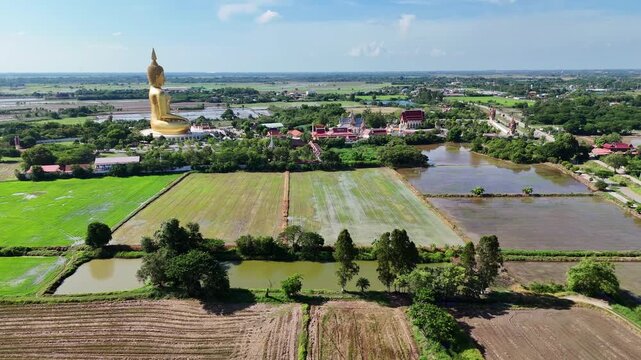 Spectacular wide drone shot of the Great Buddha of Thailand in Ang Thong. Features the country's biggest golden statue overlooking expansive temple grounds, green rice fields, and rural landscapes.