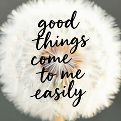 Obraz premium Close-up of dandelion seed head with text. Affirmation quote says good things come to me easily. Soft focus background. Inspirational message.