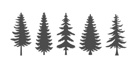 Set of pine tree vector silhouettes for nature design projects © TsaProjects