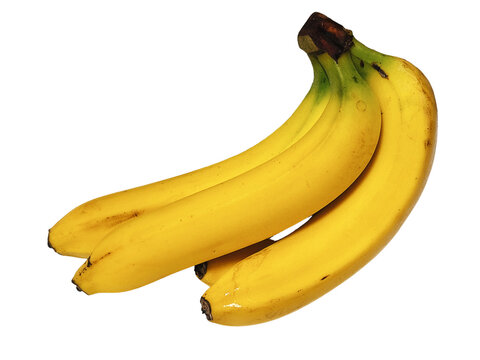 バナナ_banana_透過背景