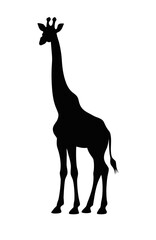 Fototapeta premium Silhouette of a tall giraffe standing in profile on a white background 