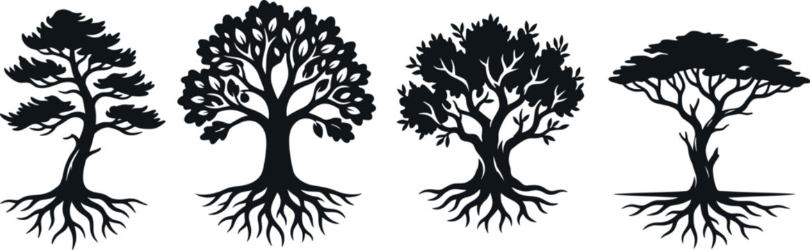 Tree Silhouette Collection with Exposed Roots Oak and Evergreen Trees for Nature Design Projects