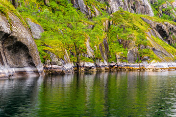 Obraz premium Trollfjord, small fjord, Lofoten Islands, steep walls, rocks, vegetation, waterfalls, reflections, water, sailing, Norwegian fjords, Norwegian Sea, Alesund, Hjorundfjord, Finnmark, Norway, Arctic