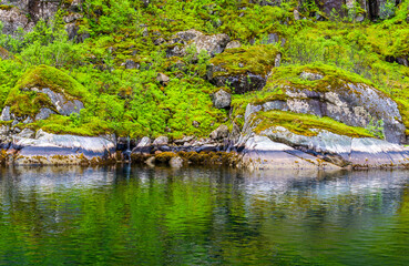 Fototapeta premium Trollfjord, small fjord, Lofoten Islands, steep walls, rocks, vegetation, waterfalls, reflections, water, sailing, Norwegian fjords, Norwegian Sea, Alesund, Hjorundfjord, Finnmark, Norway, Arctic