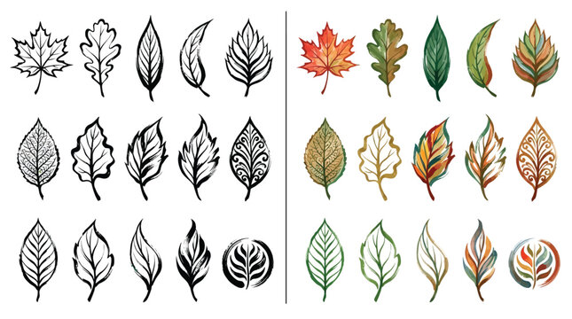 Collection of Hand-Drawn and Watercolor Autumn Leaves in Various Shapes and Colors.