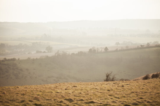 Misty winter morning over rolling English countryside fields fading into soft hazy light