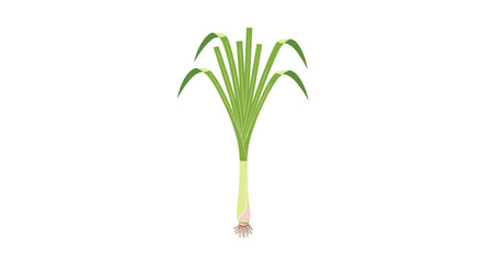 Fototapeta premium Fresh green spring onion leek scallion vegetable vector flat design illustration isolated on white background.