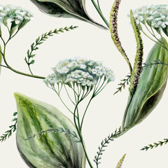 Plantain and yarrow mix seamless pattern watercolor illustration on cream background. Herbs blend for sensitive skincare cosmetics packaging, organic detox herbal tea design, wellness fabric print © AnKa
