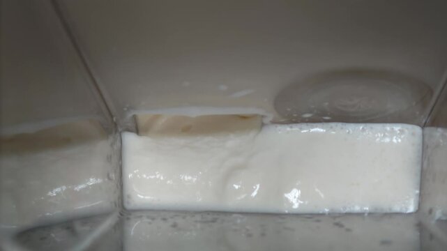 ice cream coming out of the ice cream maker. freshly made homemade ice cream
