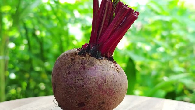 fresh beetroot on wooden background