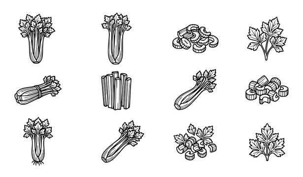 Black and White Celery Icons Vector Set for Organic Vegetarian Food Design