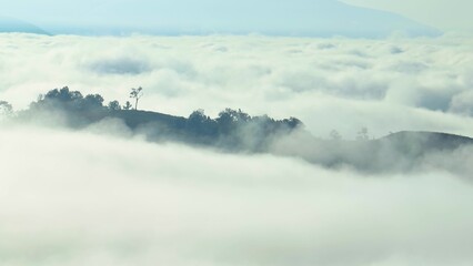Fototapeta premium Aerial drone image of expansive fog seas around mountain forests, showcasing biodiversity, carbon storage, climate regulation, water cycles, and natural ecosystem balance. Southeast Asia, Thailand. 