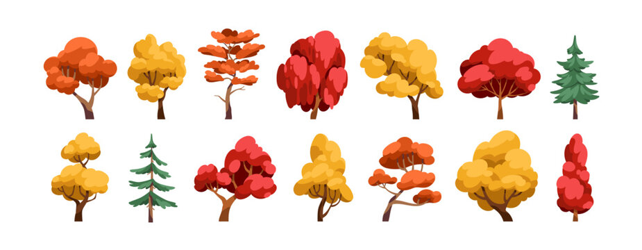 Fall trees set. Deciduous, coniferous forest plants with red, orange, yellow canopy, foliage crown, trunk. Autumn seasonal nature. Flat cartoon vector illustrations isolated on white background