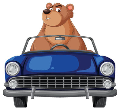 Brown Bear Driving Classic Blue Convertible Car