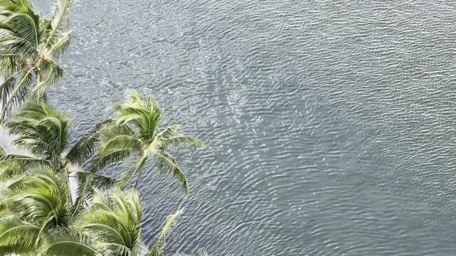 Wave ripples on a river's surface are small waves, often called capillary waves. Ala Wai Canal is an artificial waterway in Honolulu, Oahu, Hawaii. northern boundary of the tourist district of Waikiki
