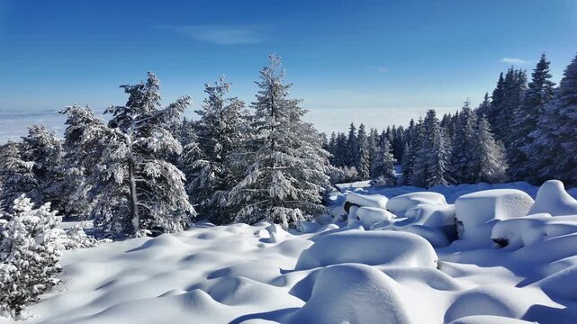 Amazing Winter landscape of Vitosha Mountain, Sofia City Region, Bulgaria