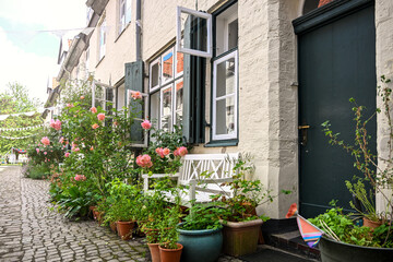 Sidewalk gardens in front of historic houses, featuring pink roses and many potted plants, lining a cobblestone path in the old town of Lubeck, Germany on a sunny day, copy space © Maren Winter