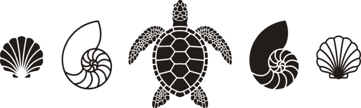 Marine life vector collection isolated, sea turtle nautilus shell and ocean shell silhouettes illustration design set