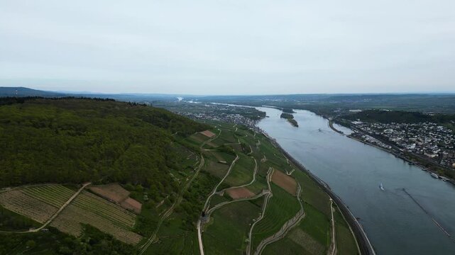 Aerial drone view of rolling green vineyards above Rudesheim in cloudy Germany