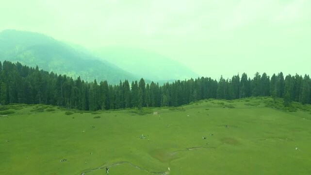 Doodhpathri (Valley of Milk) is a tourist destination and a hill station in the Indian administered union territory of Jammu and Kashmir. It is located in khan sahab area of Budgam district.