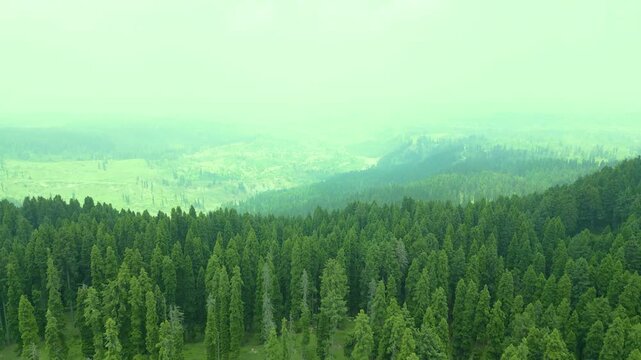 Doodhpathri (Valley of Milk) is a tourist destination and a hill station in the Indian administered union territory of Jammu and Kashmir. It is located in khan sahab area of Budgam district.