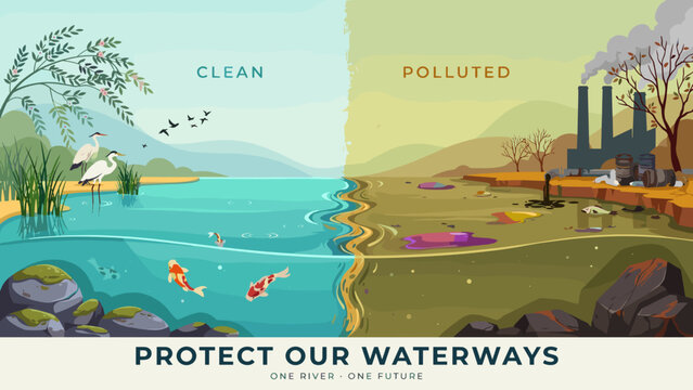 River split visually into clean and polluted water zones &ndash; Great for water pollution awareness, marine ecology reports, or industrial cleanup campaigns.