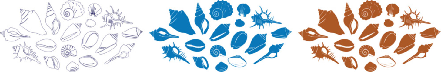 Nautical seashell vector collection, hand drawn sea shell line art and silhouettes, blue and brown marine life icons for summer beach decor isolated on White Background © noor