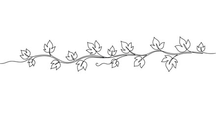 Obraz premium Continuous line drawing of horizontal grapevine branch with leaves