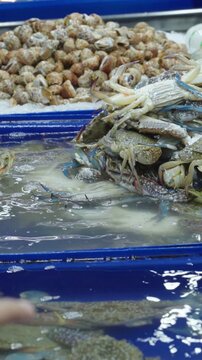 Vertical video: Vendor selecting live crabs for sale at seafood market in Thailand