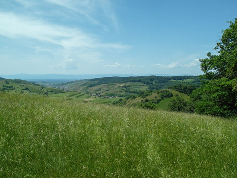 Scenic Green Rolling Hills Landscape