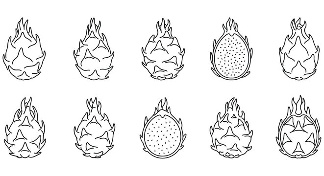 Dragon Fruit Line Art A Collection Of Botanical Illustrations dragonfruit