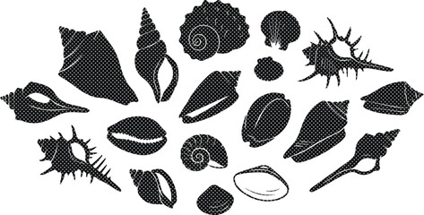 Vintage seashell silhouettes collection, black sea shell vector icons, set of 17 nautical marine mollusk shapes for summer beach design isolated on White Background © noor