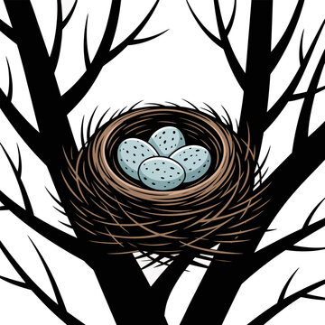 Bird nest with eggs on a tree branch in a natural setting outdoors