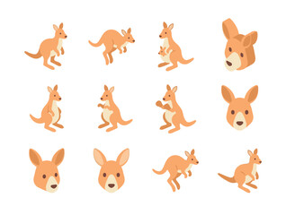 Collection of kangaroo cartoon characters. © Vynil