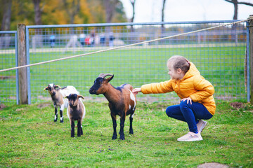 Young girl with goats in a farm animal enclosure © Ekaterina Pokrovsky