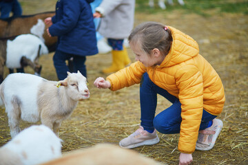 Young girl with goats in a farm animal enclosure © Ekaterina Pokrovsky
