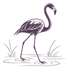 Obraz premium Vintage flamingo bird illustration, elegant tropical wading bird in water, purple silhouette flamingo vector art for summer branding and decor