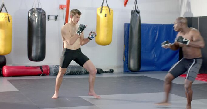 Diverse male fighters sparring after entering frame, circling and trading jabs on matted floor