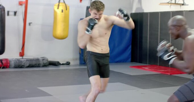Diverse male fighters sparring in dojo with heavy bag, assuming southpaw stance and blocking kick