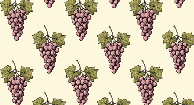 Traditional seamless pattern of hand drawn grape bunches with green leaves on a light cream colored vintage background.