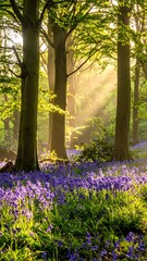 Naklejka premium A serene forest scene with bluebells and sunlight filtering through trees