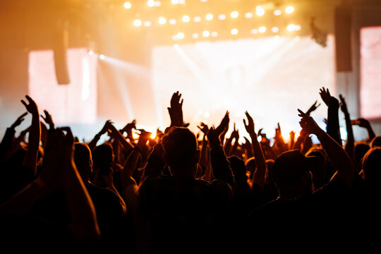Music Fans Cheering with Arms Raised at Live Festival