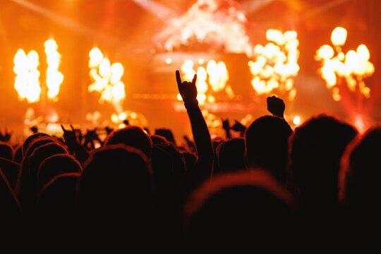 Audience Making Rock Hand Gesture at Music Festival